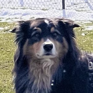 Leo